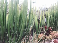 -悦哉·派对·草坪婚礼·围炉煮茶(三圣乡店)