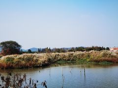 -下渚湖国家湿地公园科普馆