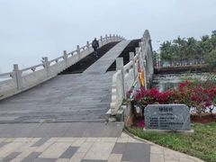 -万绿园