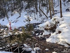 -峡谷浮石林景区