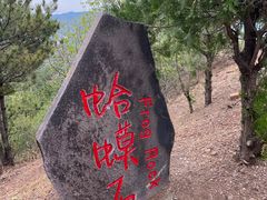 -磬锤峰森林公园