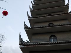 -生宇山珍野生菌汤锅•始于1999(双流古塔店)