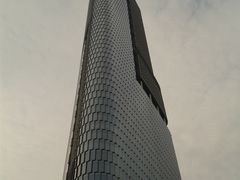 -紫峰大厦
