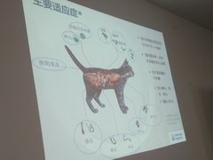 -瑞鹏宠物医院·骨科·猫科·内科(第一中心)