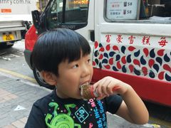 -富豪雪糕车流动点(尖沙咀店)