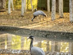 -艾溪湖湿地公园