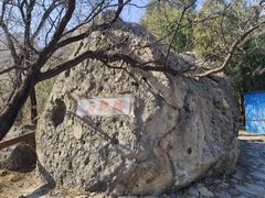 -阳台山自然风景区