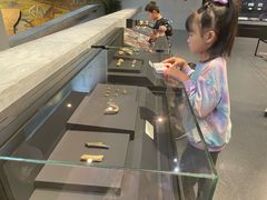 -北京周口店北京人遗址博物馆