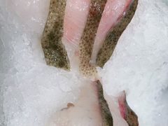 -红鼎豆捞·非遗鲍皇汤火锅(宝丰路店)