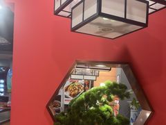 -洞庭家宴·头牌甲鱼(广渠门店)