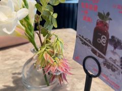 -gaga(深圳福田星河COCO Park店)