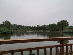 -廊坊市自然公园