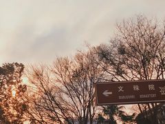 -成都市文殊院