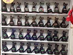 -猫咪博物馆(顶澳仔猫街店)