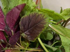 -亮欢寨(凯里总店)