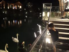 -杭州开元森泊度假乐园