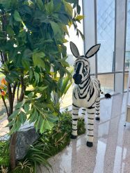 -IMON·HANSA潮玩玩偶毛绒玩具(通州万象汇店)