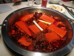 -孙毛肚火锅(春熙路店)