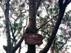 -乌山风景区