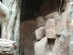 -长鹿旅游休博园