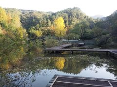-逍遥谷景区