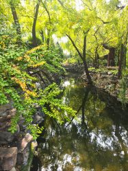 -今日陶艺(富力广场店)