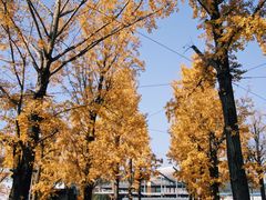 -两江幸福广场