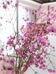 -5KM舞蹈街舞工作室