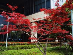 -苏州汇融广场假日酒店