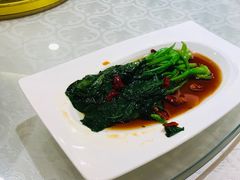 -沈阳玫瑰大酒店