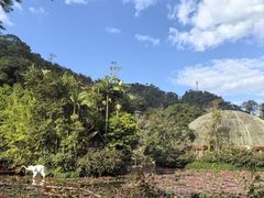 -野象谷景区