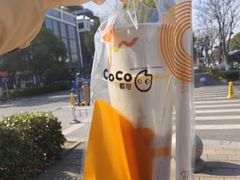 -CoCo都可(文星广场店)