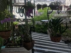 -自然餐厅(Phuket)