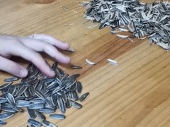 烤布雷-秀儿家の小确幸花园西餐厅