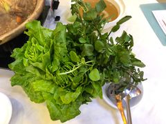 -清心鸡沙田乳鸽店·非遗传承(石溪店)