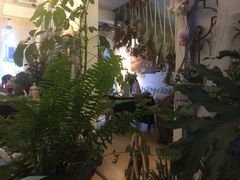 -Jo's Garden