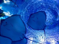 -上海海昌海洋公园