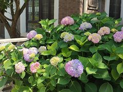 -日本风情街