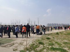 -秀丽东方