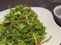 -新乾隆酒楼(帝景园店)