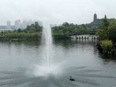 -重庆园博园