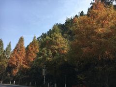 -塔川景区