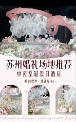 点击看大图 -中茵皇冠假日酒店·宴会厅