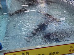 -故乡缘·香格里拉山庄(冷竹路店)