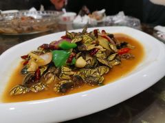 -梅子大排档