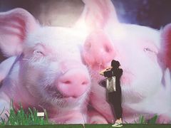 -chi K11艺术空间展览厅