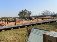 -盘龙城国家考古遗址公园