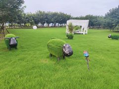 -福建鲤鱼洲酒店