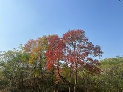 -盘龙城遗址博物院