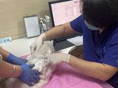 -北京观赏动物医院·24小时大型综合·猫专科·异宠专科